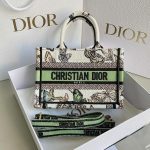 Dior Book Tote 24