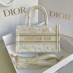 Dior Book Tote 24