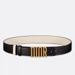 D-Fence Reversible Belt